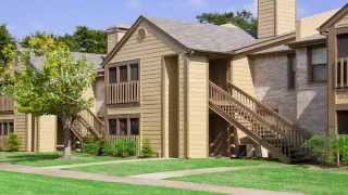 Raintree Apartments in Baytown, TX | 1 Bedroom Apartment Tour