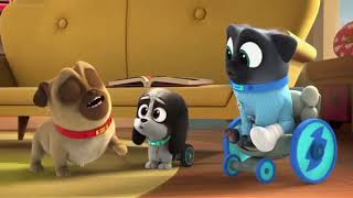 Get Well Bingo Clip | Puppy Dog Pals