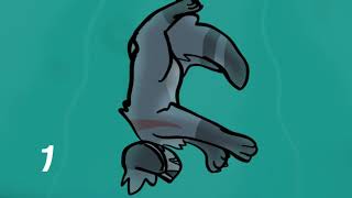 Pidgeon bluestars death MAP [ 5/11 OPEN]