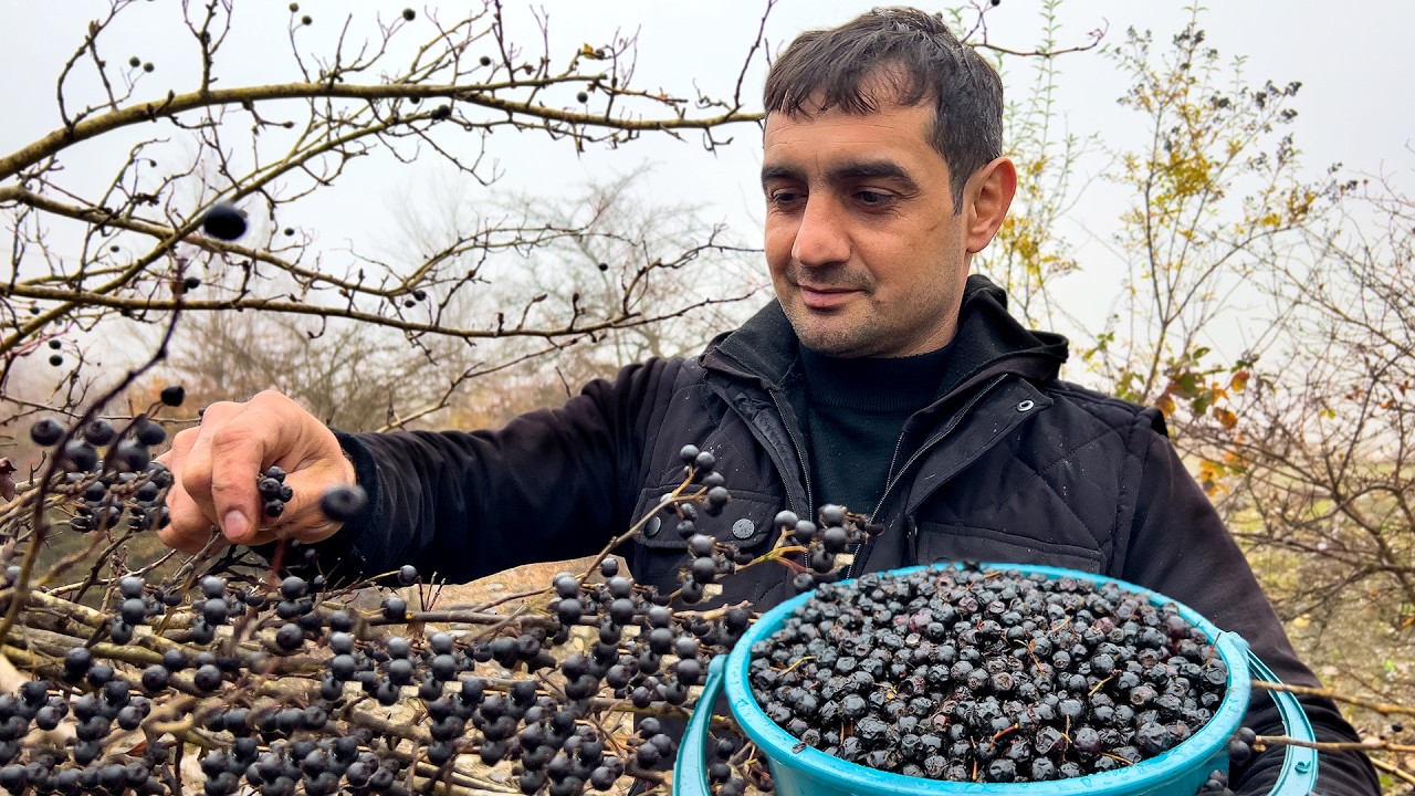 Forest to Table: Wild Blueberry Compote & Secret Village Beef Kebab | Wood Fire ASMR