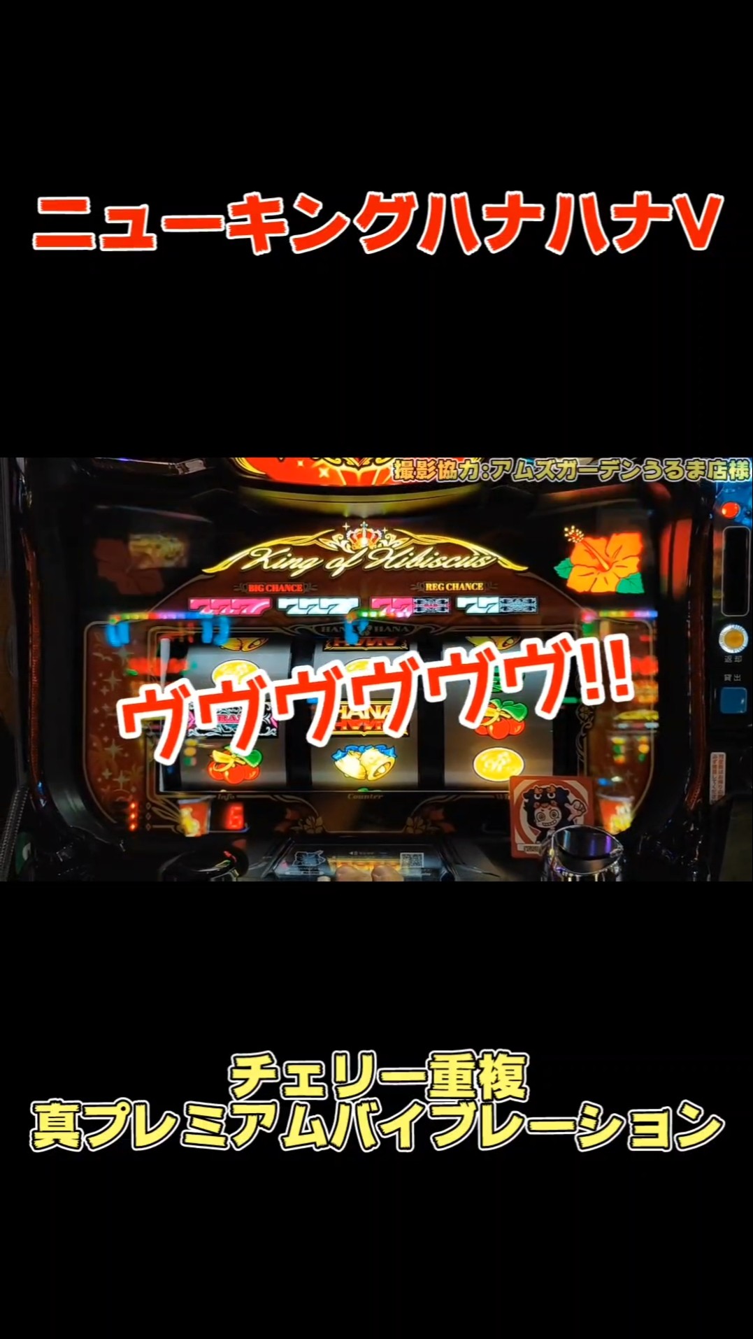 真プレミアムバイブレーション】ニューキングハナハナVのチェリー重複