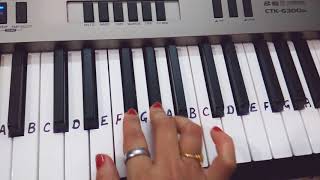 Tumhe Dillagi Bhool jani padegi|Keyboard tutorial|Harmonium|slow tutorial|piano