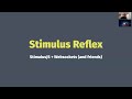 Stimulus Reflex - Insert Snappy Title Here - Mathew Button - ROROSyd July 2020