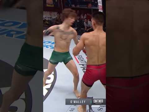 Молодой Шон О’Мелли / #ufc #combatsport #youtubeshorts #mma #mmaufc #sugashow #2024