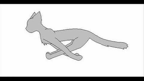 cat run test 1.wmv