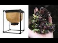 Flow Through Worm Bins Explained: A Different Type of Vermicomposting