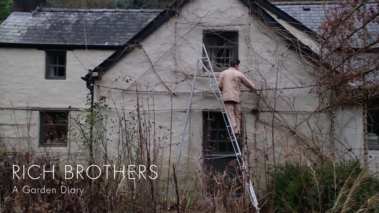 04 - Ty Gardd | Revealing the garden’s Winter form