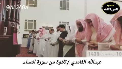 عبدالله الغامدي/ تلاوة من سورة النساء / حالات واتس اب إسلامية