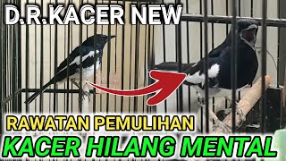 FULL- RAWATAN KACER HILANG MENTAL KACER TANGGUNG KITA KASIH RAWATAN BIAR DIA VIRAL