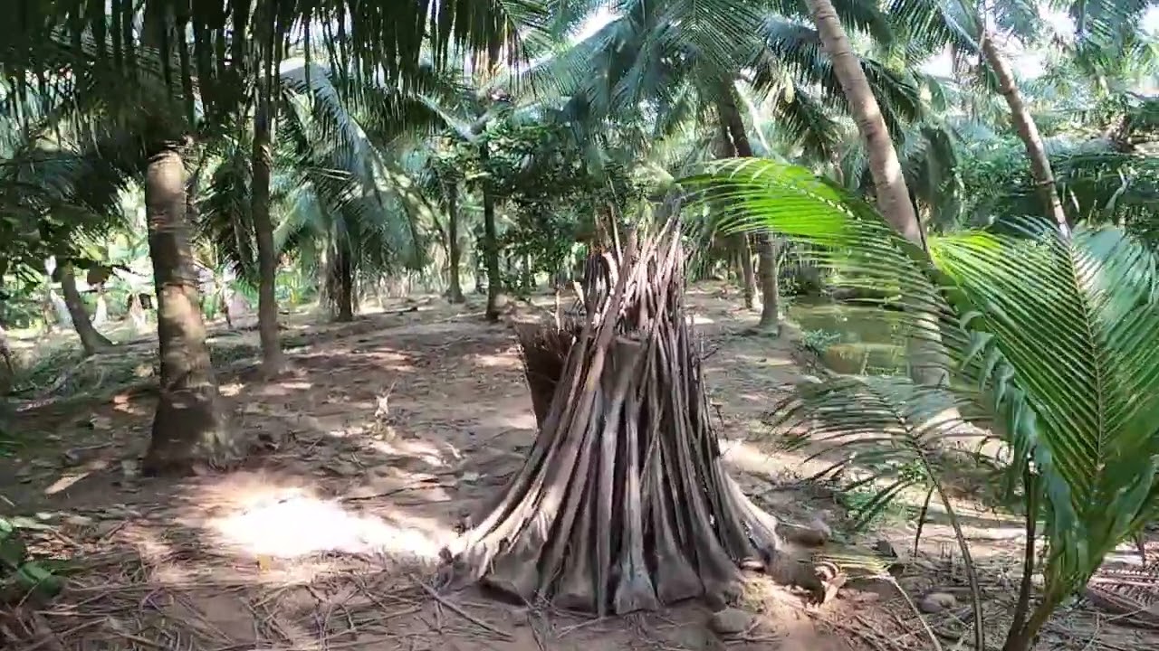 Discovering the exquisite countryside of the Mekong, Vietnam.