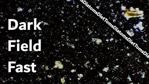 Quick Tip - Dark Field Microscopy in Two Minutes!