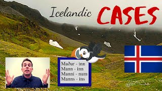 Icelandic Cases - EXPLAINED