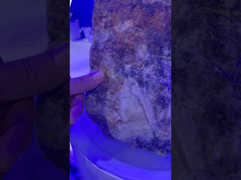 الذهب الكاذب الذهب الذهب الكاذب  كنوز هل تعلم