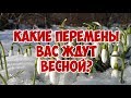 КАКИЕ ПЕРЕМЕНЫ ВАС ЖДУТ ЭТОЙ ВЕСНОЙ? Онлайн гадание Таро на будущее