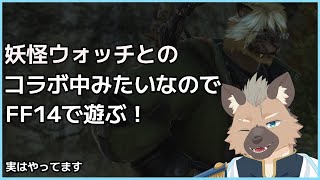 【FF14】コマさんとリモコンかくしが好きです 【Vtuber】
