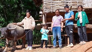 Download Lagu Repairing Roads and Bridges, Buying More Buffaloes to Raise, Harvesting and Selling at Market MP3 Download Lagu Repairing Roads and Bridges, Buying More Buffaloes to Raise, Harvesting and Selling at Market MP3