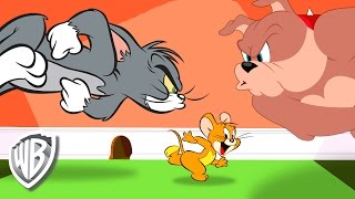 Мульт Tom Jerry Outsmarting Tom Compilation