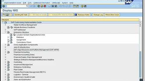 Define Company in SAP