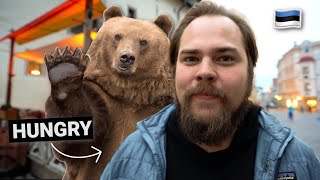 Eating BEAR in Estonia - First Impressions of Tallinn, Estonia 🇪🇪