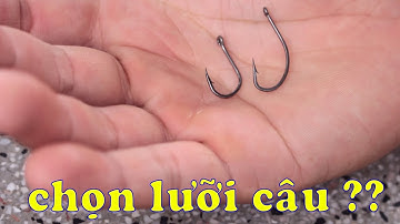 CSRV 50 | CÁCH CHỌN LƯỠI CÂU CẮM CÁ LÓC sao cho hiệu quả, một vài kinh nghiệm cần thiết