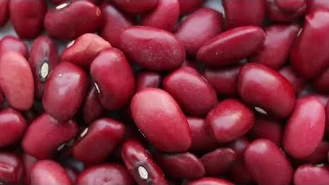 Kidney Beans Stock Video