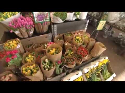 Plantoramadk google Spisestue fransk landstil