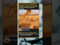 Lion vs Rhino The Impossible Fight