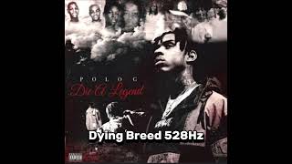 Polo G - Dying Breed 528Hz