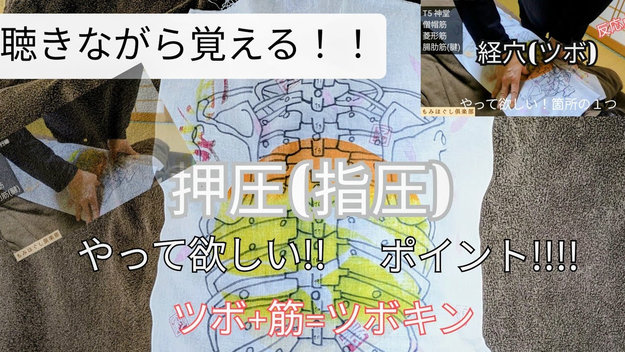 【経穴】ツボ＆筋名 | 背部・腰部・仙骨など | 
