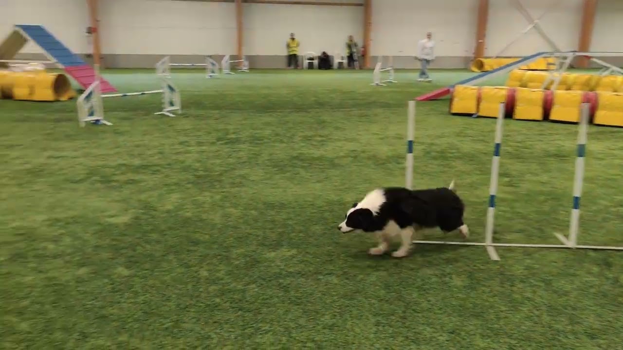 Unto 4/24 MJ karsinnat