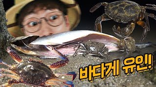 고등어 미끼로 '바다게' 유인하기!