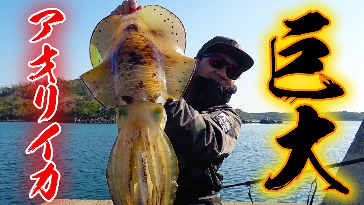 イガ  The pull of the giant spring squid was amazing!!! - YouTube