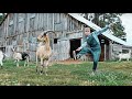 Now United @ Willow Witt Ranch, Oregon – Rexona Dance Studio