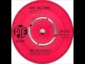 The Breakaways - Here She Comes (1964)
