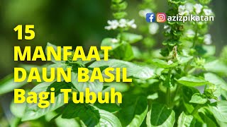 15 MANFAAT DAUN BASIL