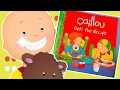Caillou at the DENTIST - CAILLOU BOOK COMPILATION - Bedtime Stories for Kids Read Aloud