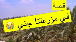 ٤٩_قصة تلبس الجن (قصة أماراتية) #العين #الإمارات