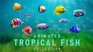 Animated Tropical Fish Collection