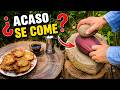 🍌 TODOS BOTAN ESTO DEL PLATANO… hasta que descubrí que se come