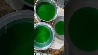 Pandan jelly