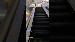 HOW TO RIDE AN ESCALATOR #shorts