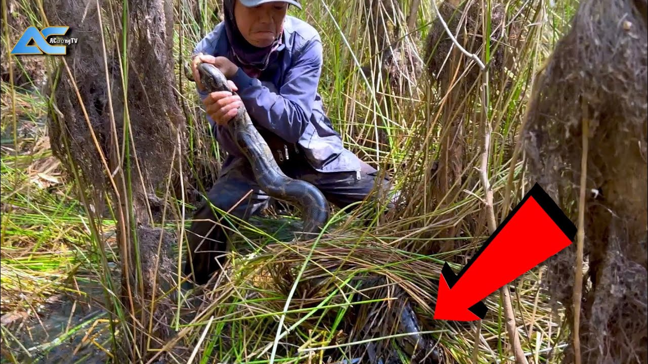 Đổ Mồ Hôi Cố Gắng Không Cho Quái Vật Rừng Tràm Chạy Thoát Try to hold onto the monster's tail