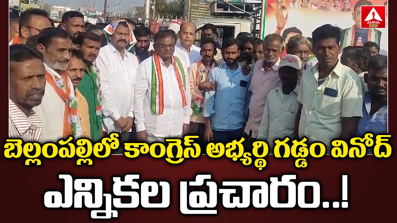 బెల్లంపల్లిలో కాంగ్రెస్ అభ్యర్థి గడ్డం వినోద్ ఎన్నికల ప్రచారం..! | Gaddam Vinod Election Campaign