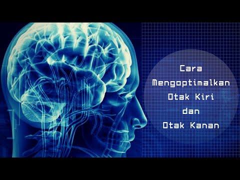 Video: Dan Otaknya Berbeda - Pandangan Alternatif