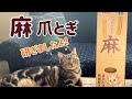 猫がダンボールの爪とぎを使わないので、麻の爪とぎを試してみました！