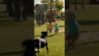 Rottweiler Dog Saves Owner from Elephant Attack | Dog Becomes a Hero