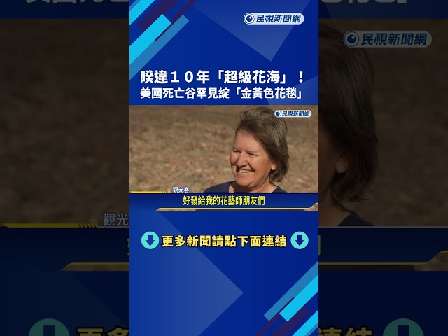 睽違10年「超級花海」！  美國死亡谷罕見綻「沙漠金花」－民視新聞