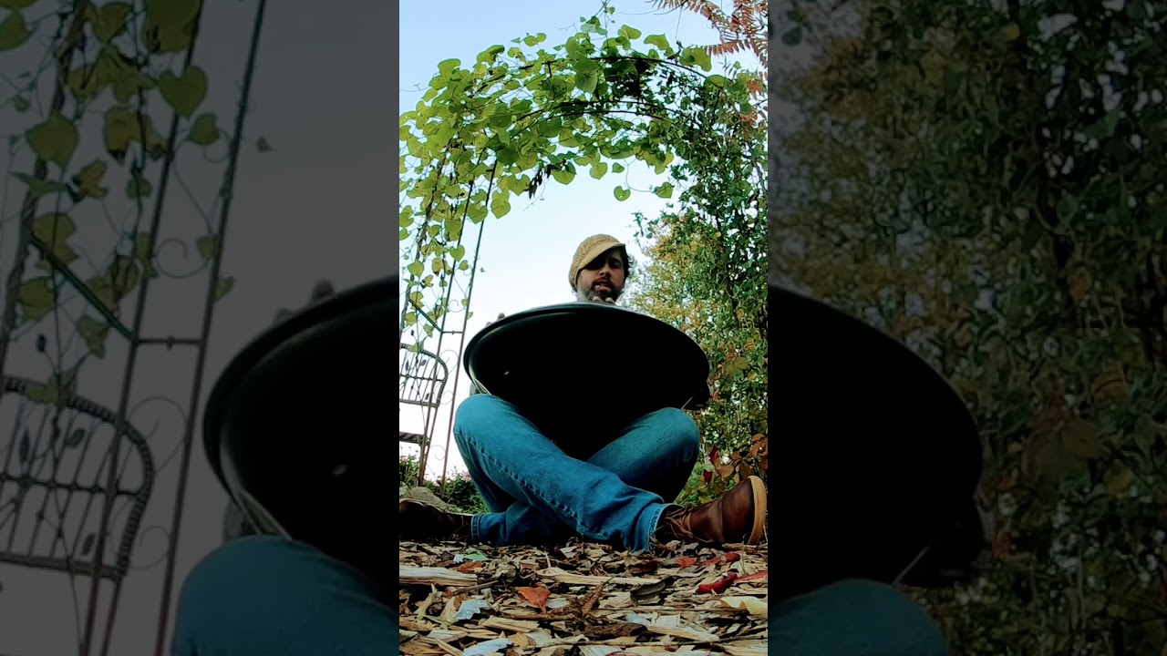 18 note Lunaria scale handpan! #handpan #music #nature #travel #shorts #love@handromedahandpan