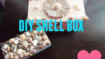 DIY SHELL BOX !!!