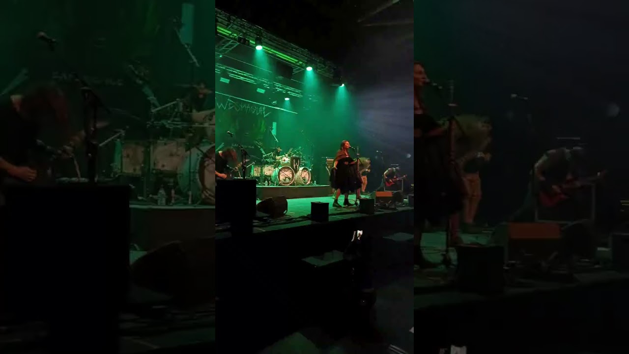 Il y a 1 mois, on vous faisait découvrir notre Folk Metal sur la scène du Beaujo'Fest !